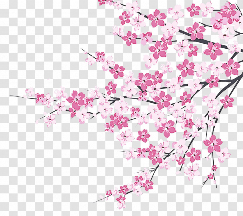 Cherry Blossom Transparent PNG