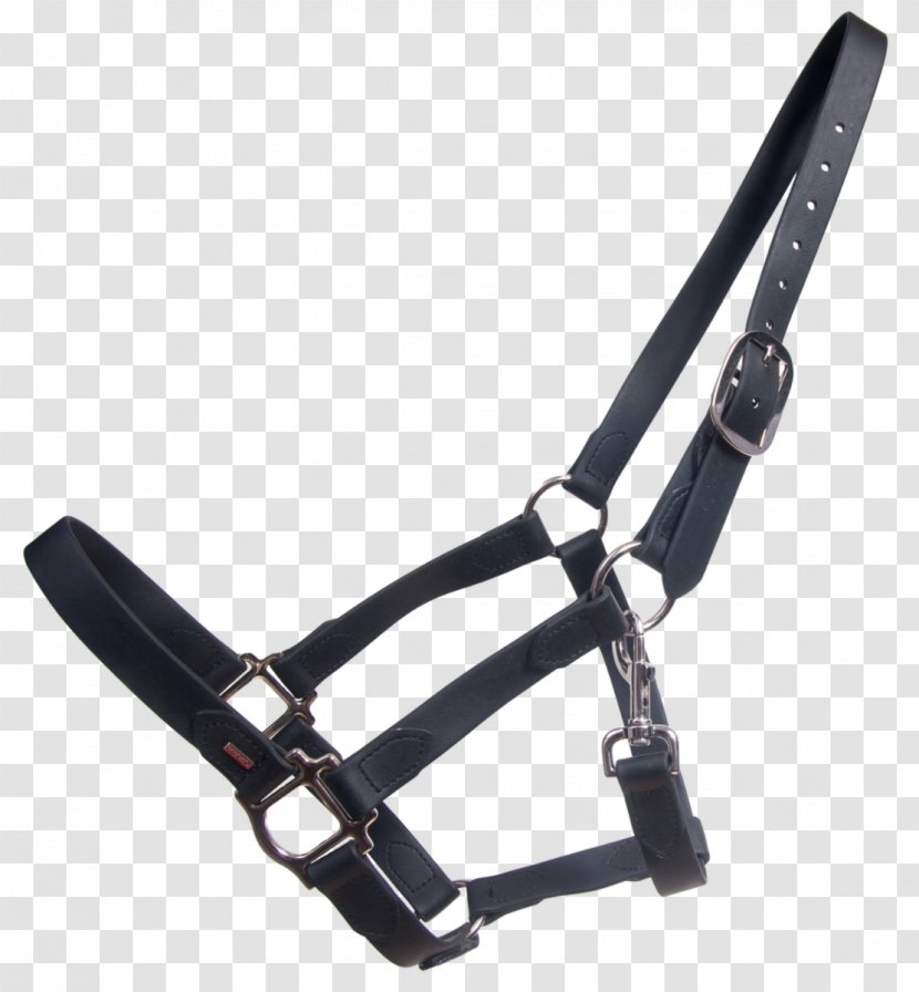 Icelandic Horse Foal Pony Halter Tack - Leather Transparent PNG