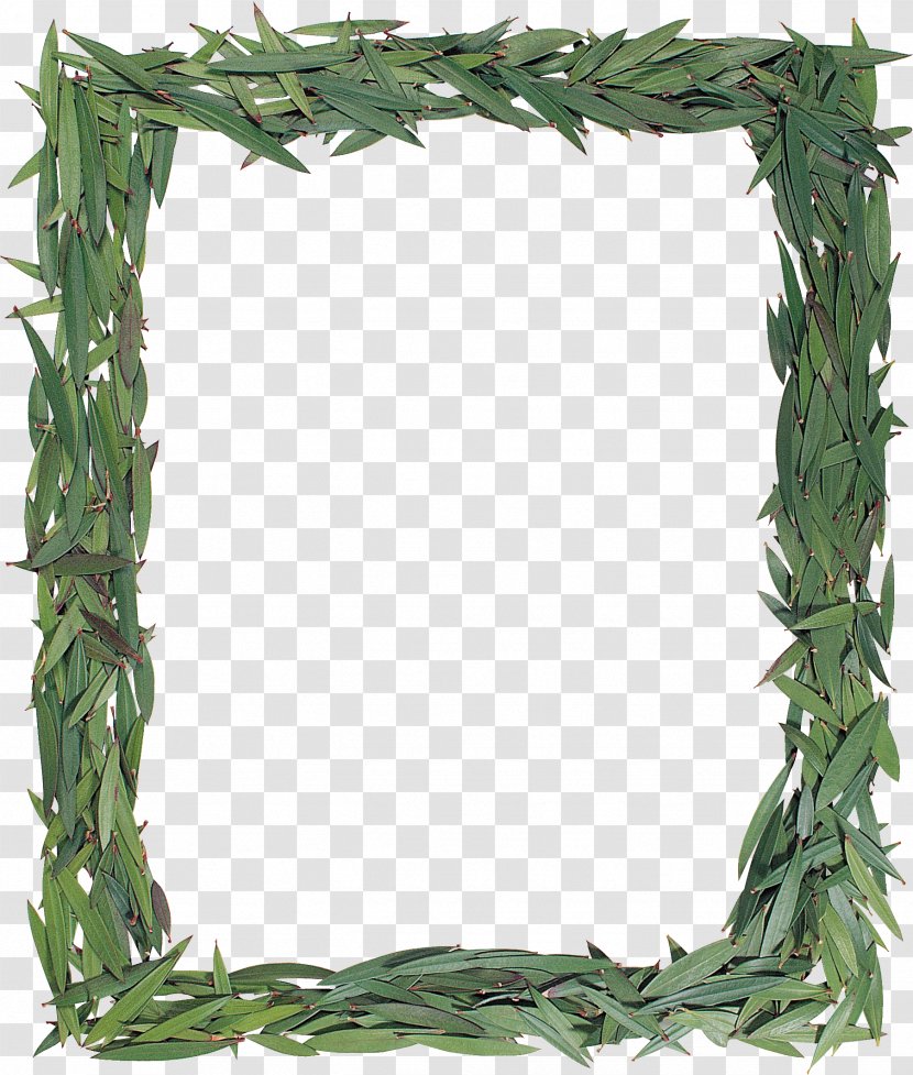 Picture Frames Clip Art - Grass - Green Leaves Transparent PNG