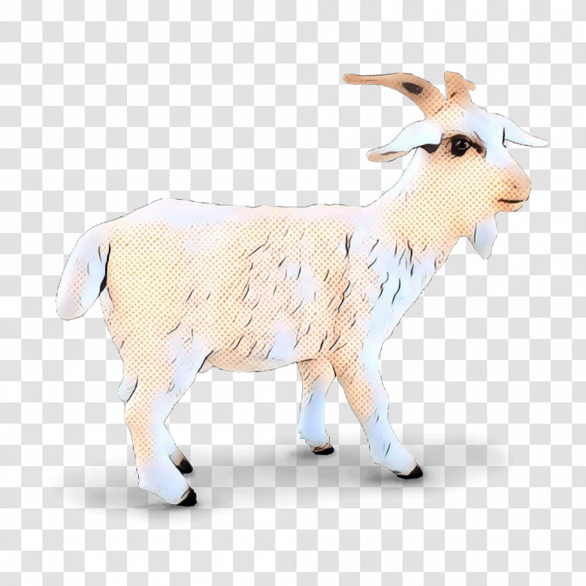Goat Sheep Cattle - Goatantelope Transparent PNG