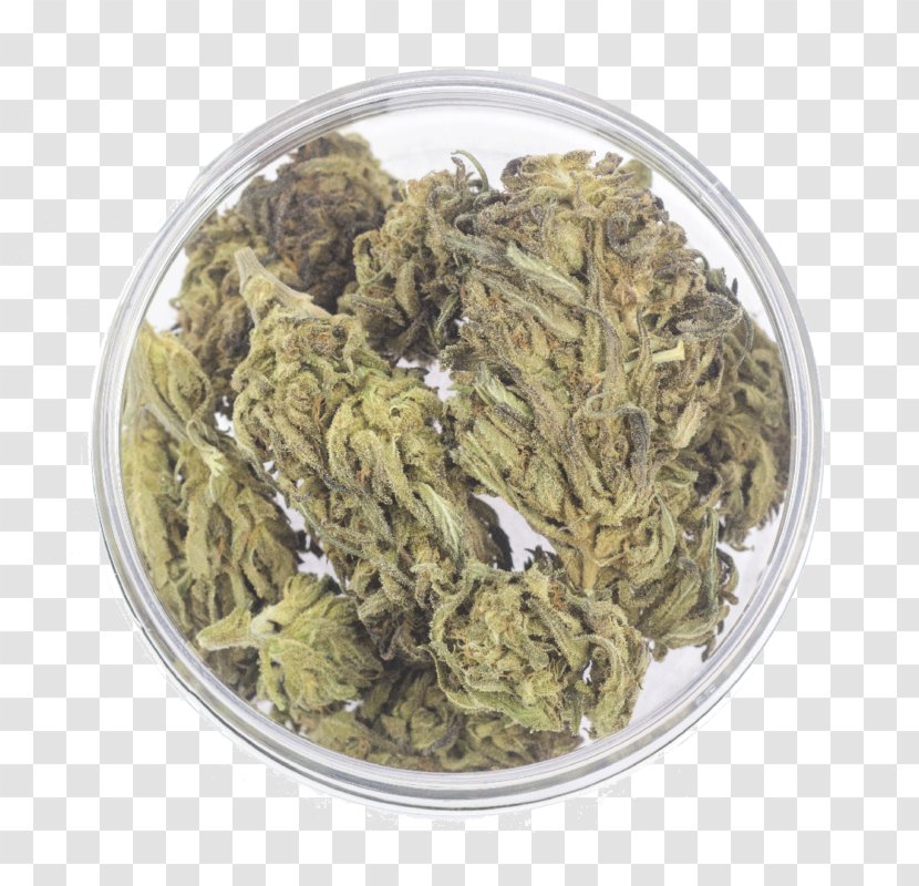 Cannabidiol Cannabis Cultivation Easyjoint Campo De' Fiori Sativa - Recipe - Joint Transparent PNG