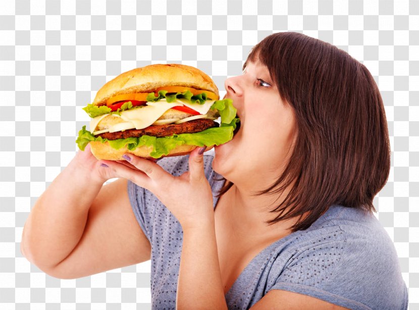 Obesity Cardiovascular Disease Hypertension Overweight - Diabetes Mellitus - Hamburger Man Transparent PNG