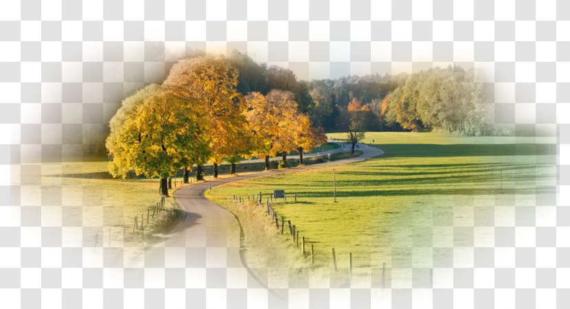 Western Europe Nature Landscape Desktop Wallpaper The Little Prince - Microsd - Field Road Transparent PNG