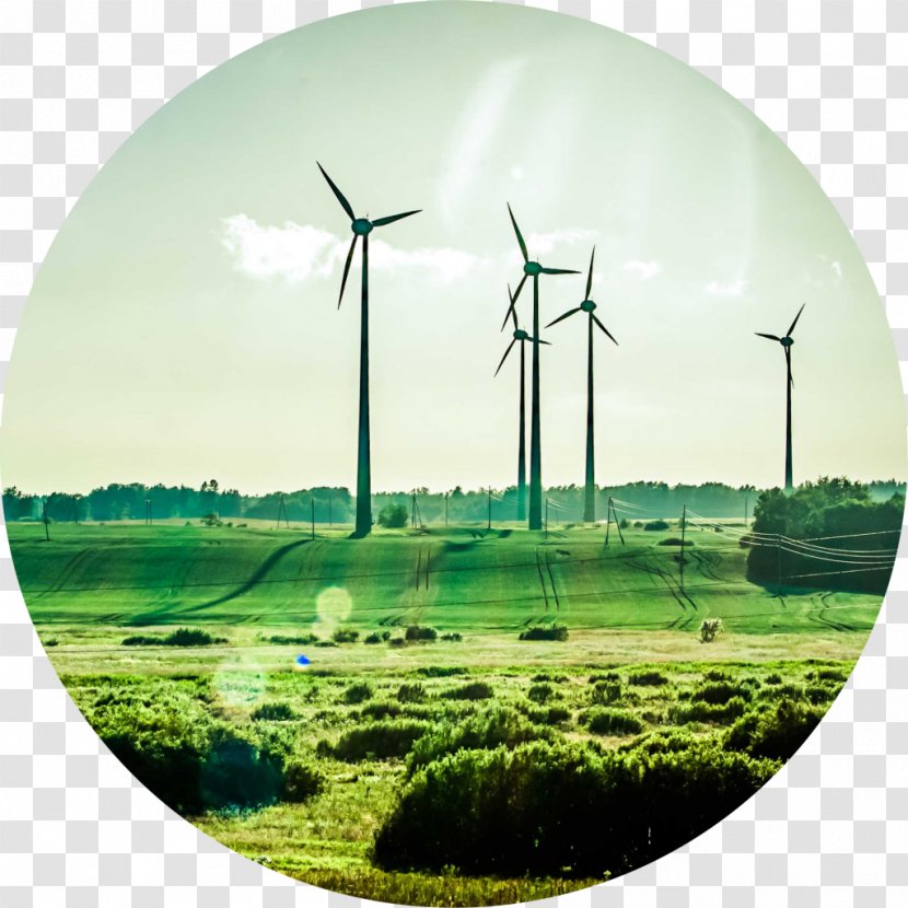 Wind Farm Renewable Energy Sustainability Business - Natural Environment Transparent PNG