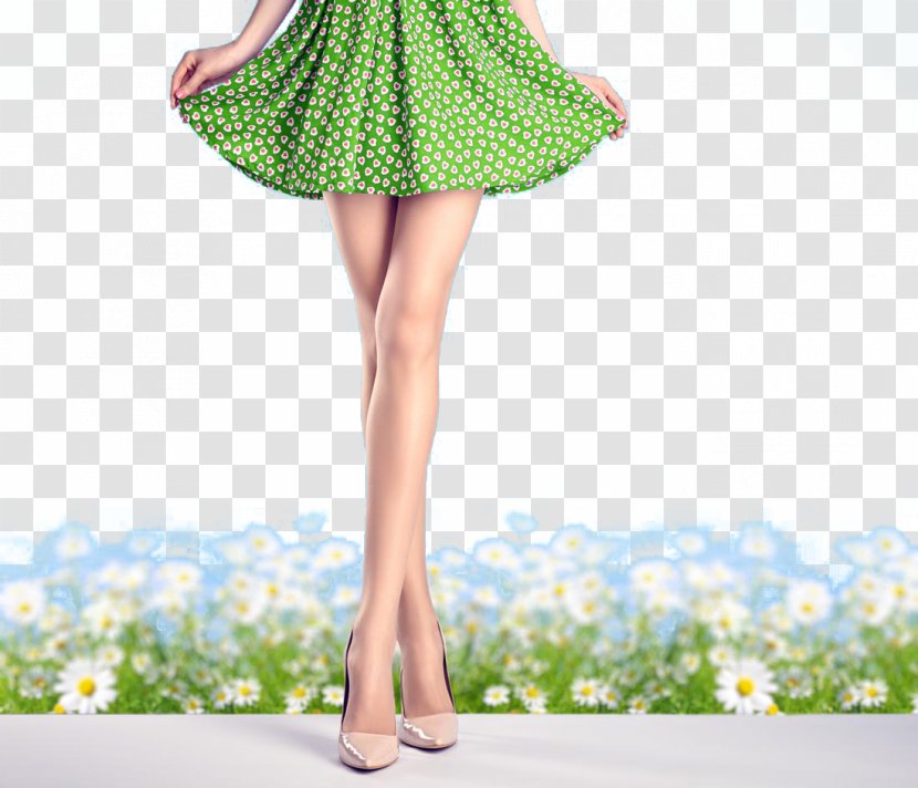 Skirt High-heeled Footwear Stock Photography Woman Designer - Silhouette - Beautiful Women Wearing Skirts Transparent PNG