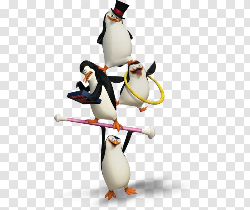 Penguin Cartoon - Rockhopper - Animated Transparent PNG