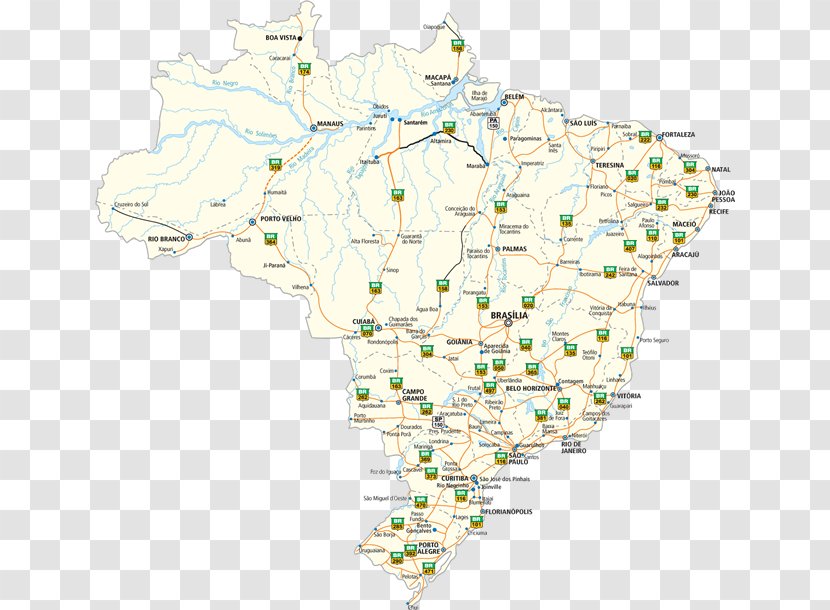 Map Tree Line Tuberculosis Transparent PNG