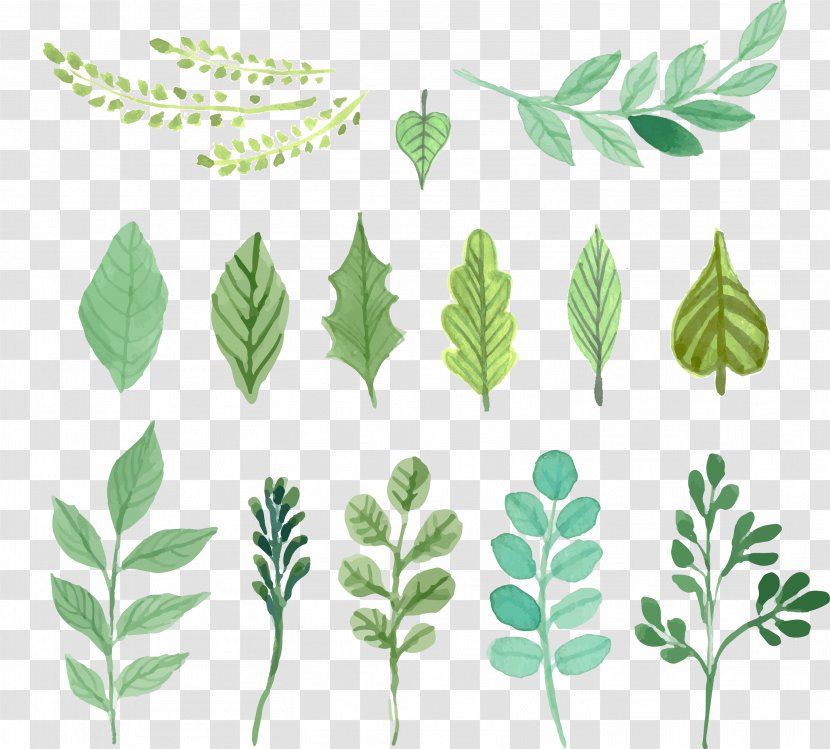 Watercolor Painting Leaf - Flora - Green Leaves Vector Material Transparent PNG