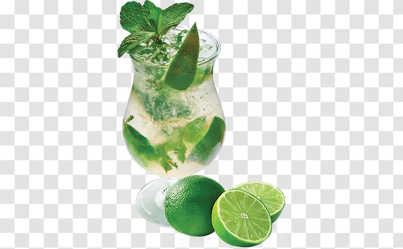 Mojito Cocktail Garnish Lemonade Gin And Tonic Transparent PNG