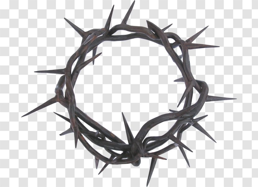 Crown Of Thorns Thorns, Spines, And Prickles Clip Art - Christian Cross - Tree Transparent PNG