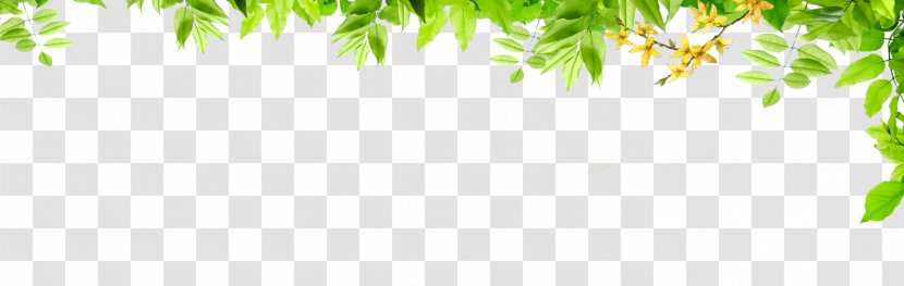Graphic Design Green Pattern - Flora - Leaves Border Transparent PNG