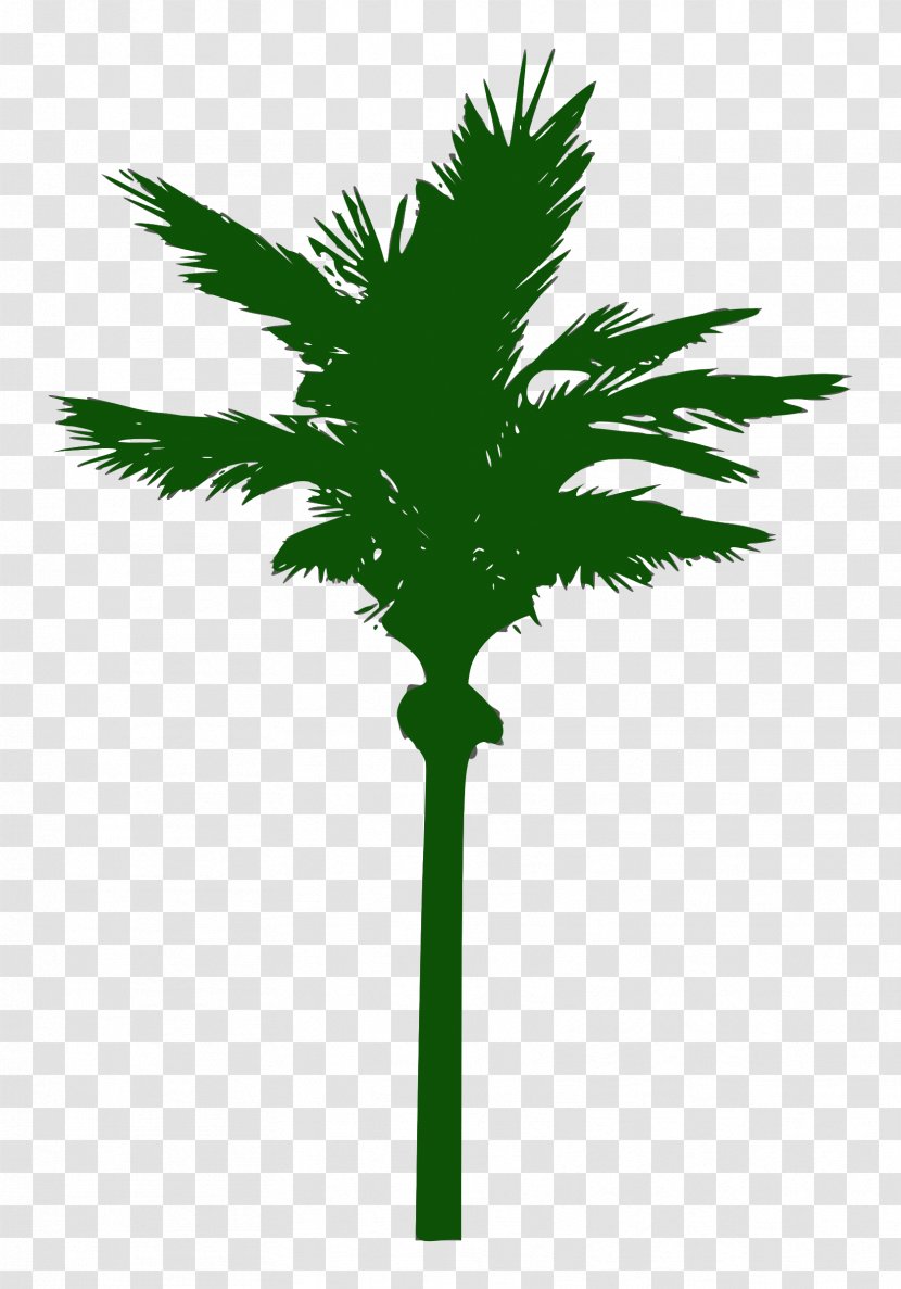 Tree Clip Art - Date Palm Transparent PNG