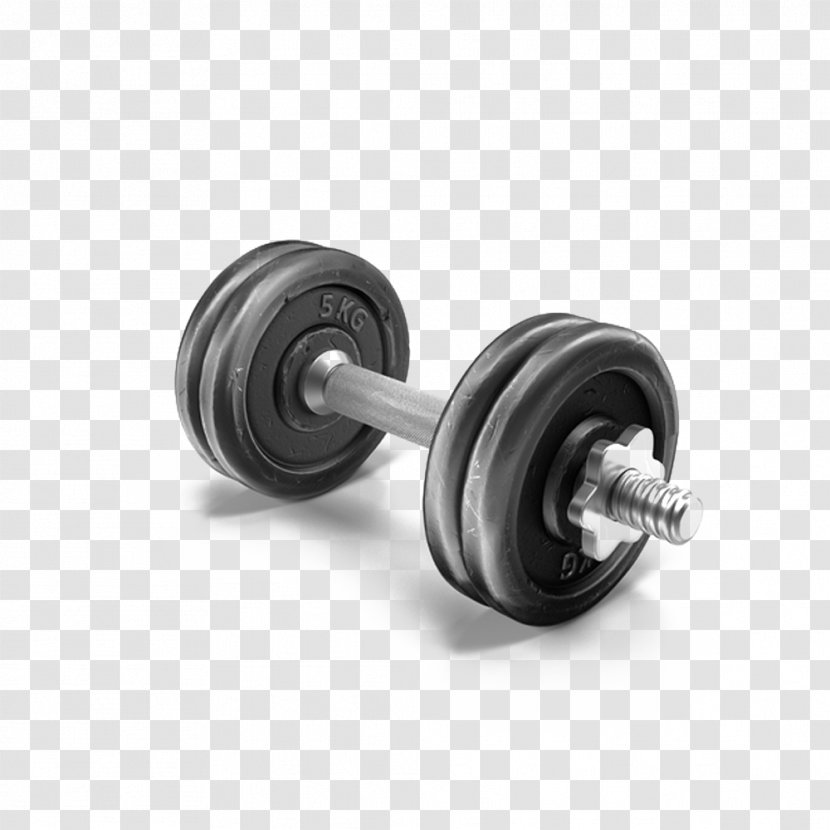Dumbbell Weight Training - Physical Exercise - Five Kilograms Transparent PNG