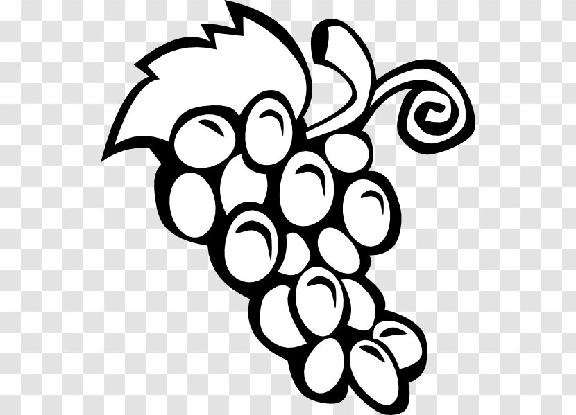 Common Grape Vine Wine Clip Art - Black And White - Grapes Drawing Transparent PNG