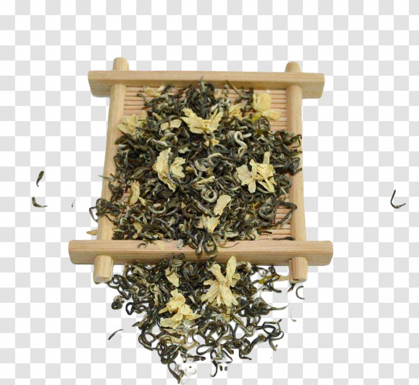 Green Tea White Flowering Jasminum Officinale - Hojicha - Jasmine Samples Transparent PNG