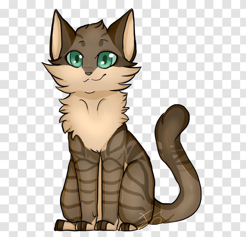 Whiskers Kitten Tabby Cat Domestic Short-haired Wildcat - Wild Transparent PNG