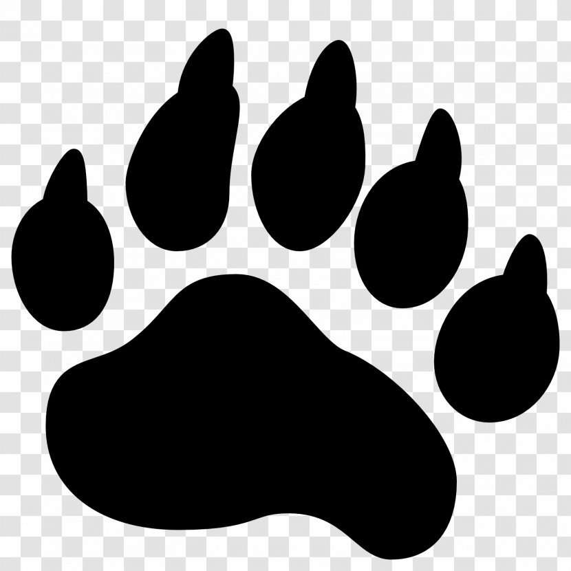 American Black Bear - Paw - Footprints Transparent PNG