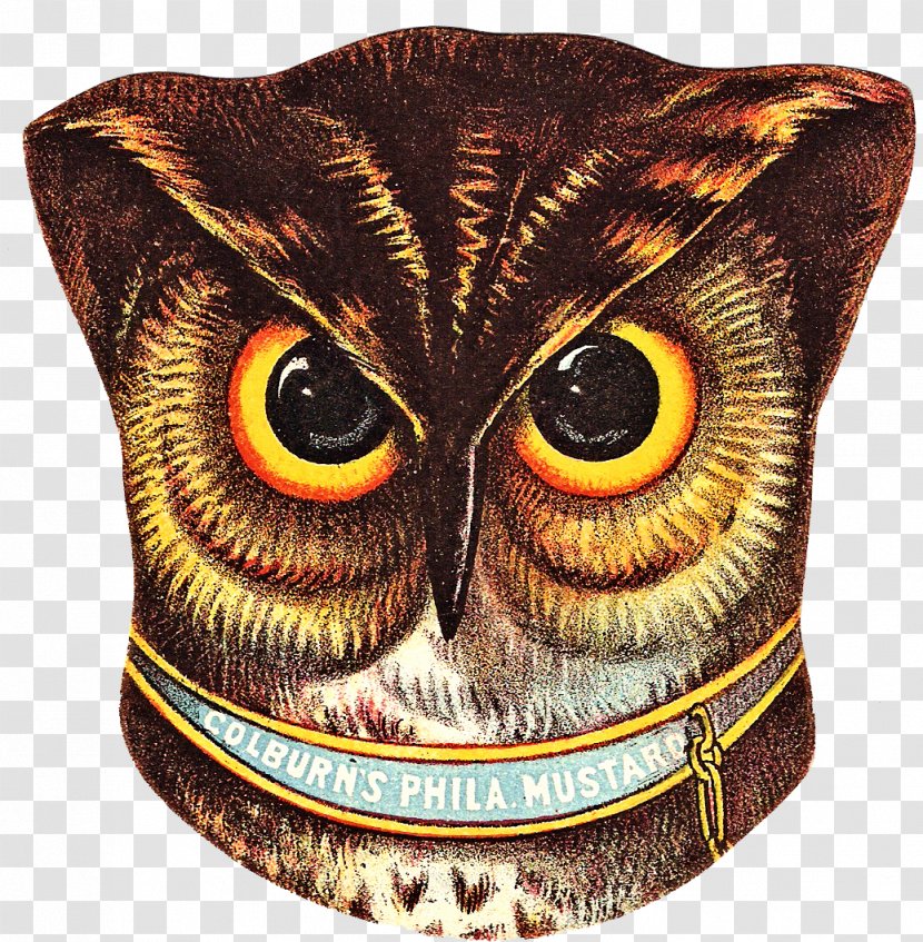 Owl Drawing Clip Art - Royaltyfree - Owls Transparent PNG