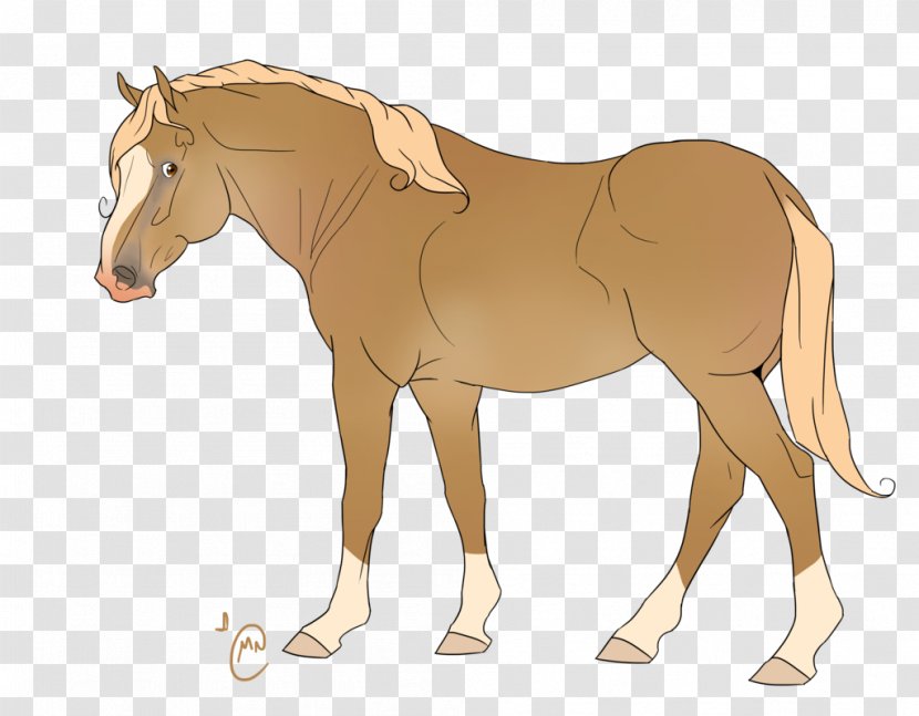 Pony Rein Foal Mustang Stallion - Neck Transparent PNG
