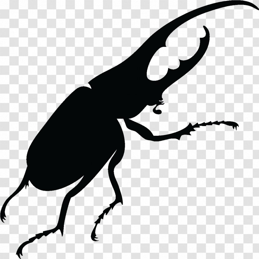Beetle Vector Graphics Stock Photography Silhouette Royalty-free - Artwork Transparent PNG