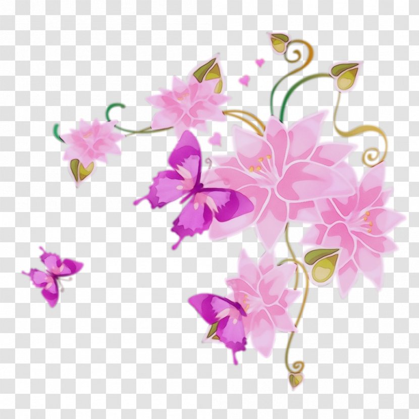 Pink Flower Plant Petal Cut Flowers - Flowering Blossom Transparent PNG