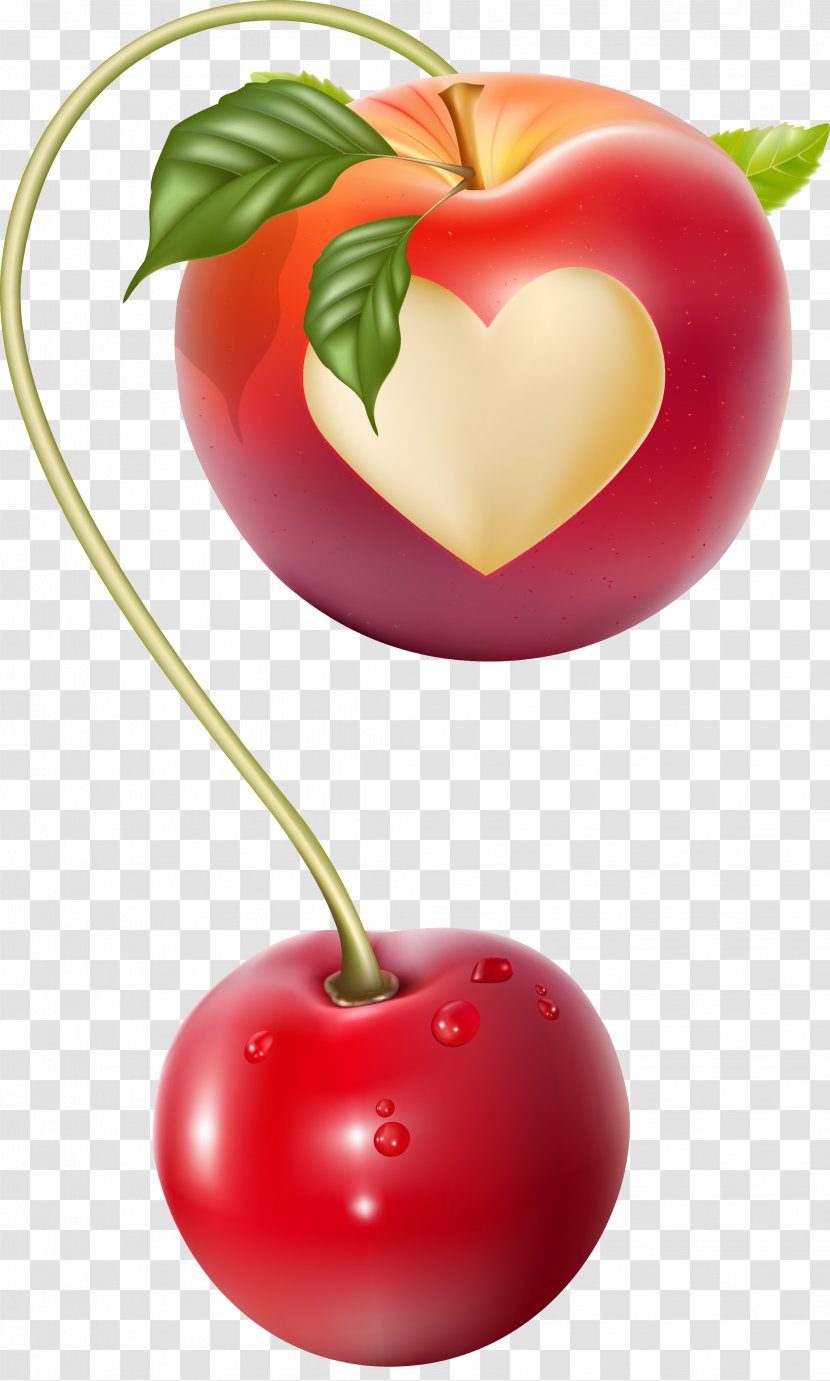 Cherry - Food - Creative Apple Color Knot Vector Is Longer Transparent PNG