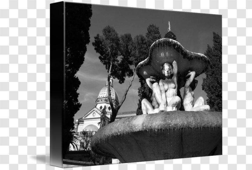 Stock Photography White - Fontana Del Tritone Rome Transparent PNG