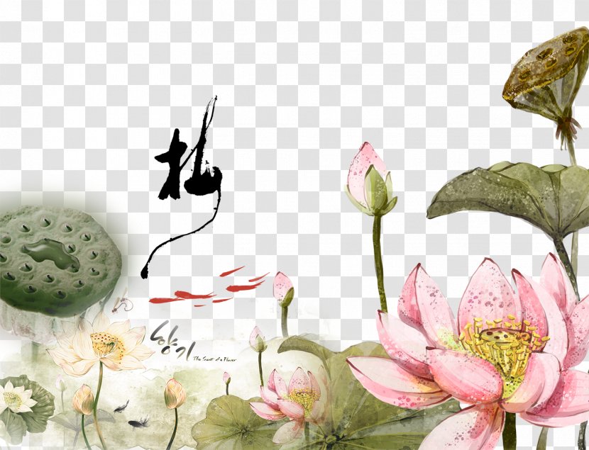Ink Wash Painting Chinese Gongbi Nelumbo Nucifera - Plant - Hand-painted Lotus Background Transparent PNG