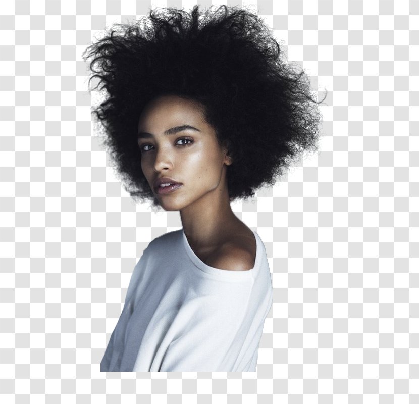 Afro Black African American Female Woman - Hair Coloring Transparent PNG