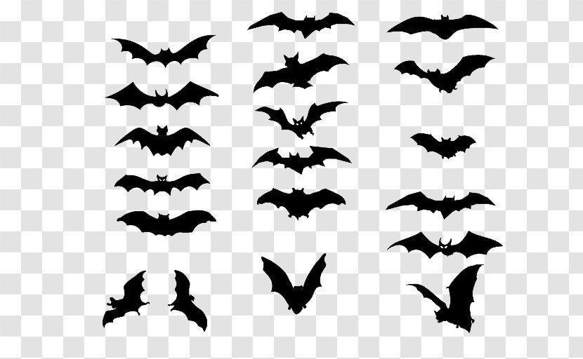 Bat Tattoo Silhouette Drawing - Animal Migration - Night Scene Transparent PNG
