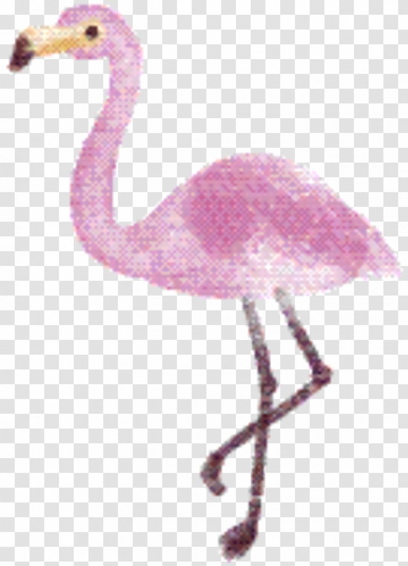Pink Flamingo - Ratite - Cranelike Bird Transparent PNG