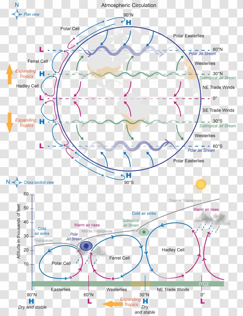 Atmospheric Circulation Diagram Global Warming Hadley Cell Climate - Silhouette - Science Transparent PNG
