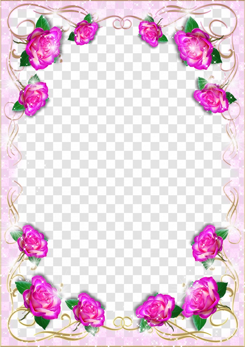 Picture Frame - Flora - Mood Pictures Transparent PNG