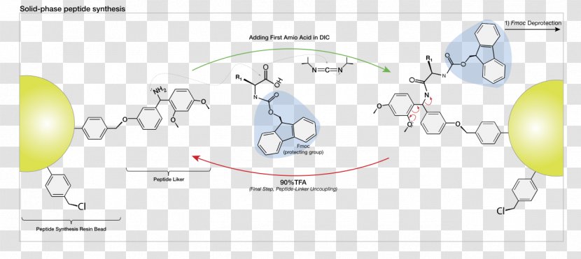 Peptide Synthesis Solid-phase Merrifield-Synthese Chemical - Frame - Directions Vector Transparent PNG
