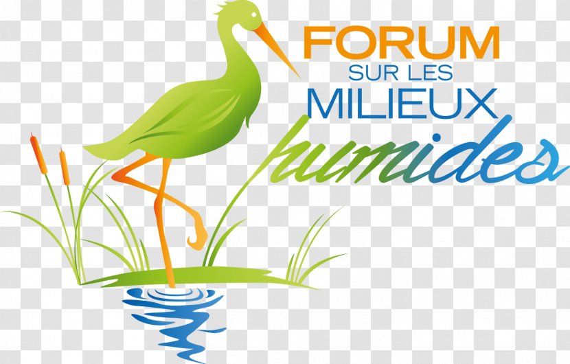 Les Milieux Humides Wetland Logo Graphic Design Brand - Flower - Bulletin Magazine Transparent PNG