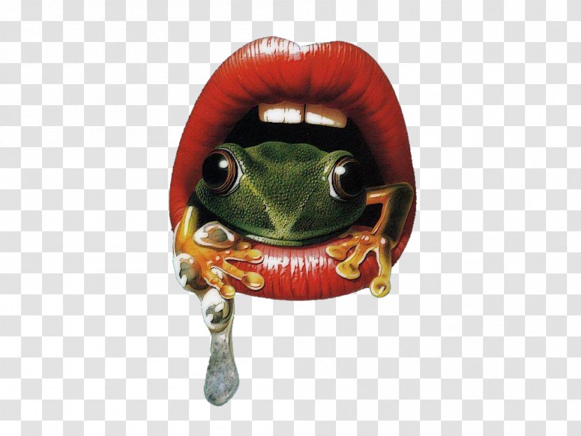 T-shirt Amphibians Frog Mouth Clothing - Jumper Transparent PNG