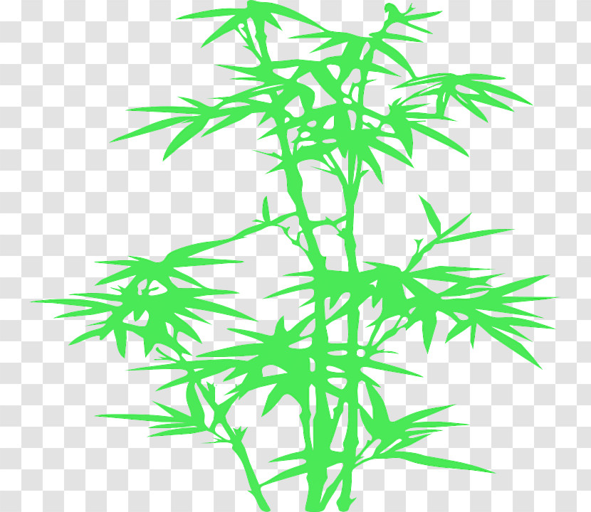 Leaf Plant Plant Stem Tree Hemp Family Transparent PNG