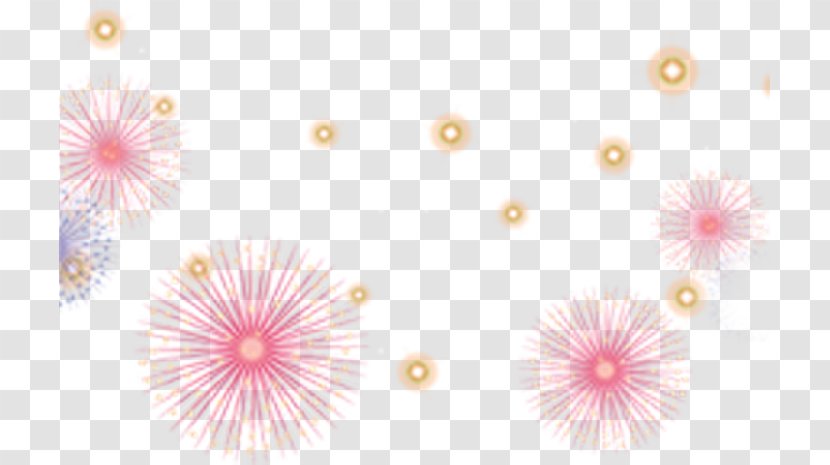Dahlia Petal Floral Design Pattern - Flowering Plant - Fireworks Transparent PNG