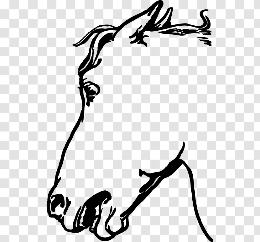 Mustang Arabian Horse Head Mask Stallion Clip Art - Donkey Face Transparent PNG