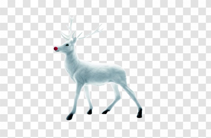 Reindeer Christmas - Horn - White Transparent PNG