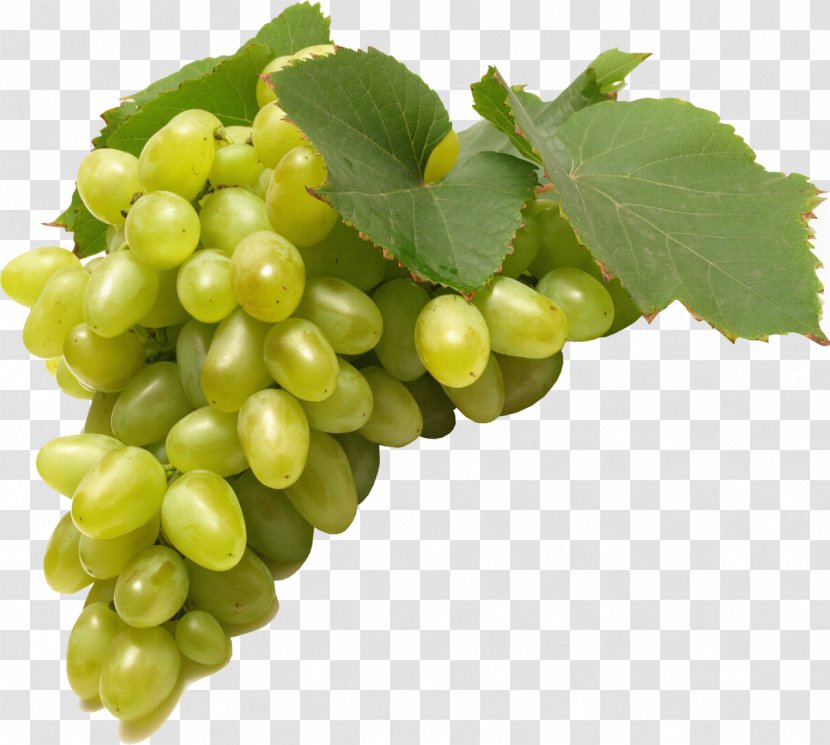 Common Grape Vine Juice Clip Art - Seed Extract - Grapes Transparent PNG