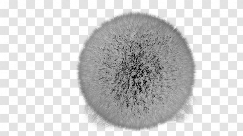 Brush Fur - Koala Transparent PNG