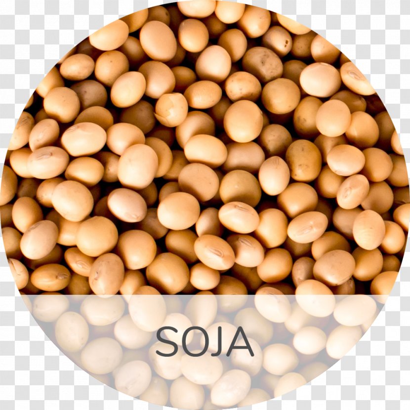 Soybean Muscle Disease Business Food - Paresis - Soja Transparent PNG