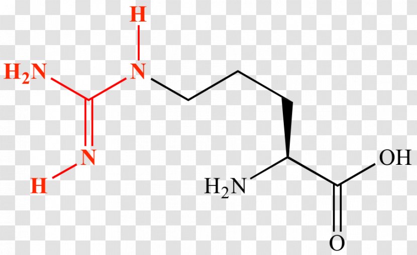 Amino Acid Amine Guanidine Protein Lewis Structure - Brand - Chemistry Transparent PNG