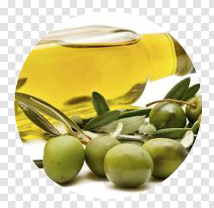 Olive Oil Seed - Business Transparent PNG