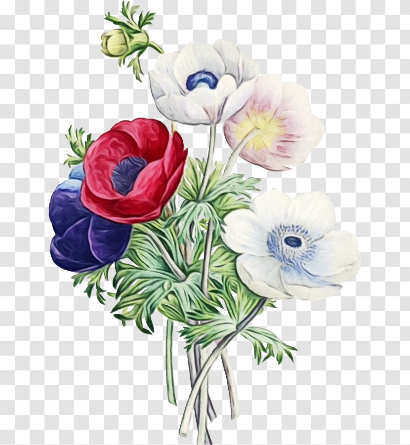 Bouquet Of Flowers Drawing - Floral Design - Rose Poppy Family Transparent PNG