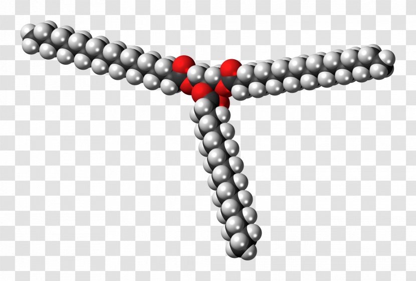 Triglyceride Stearin Glycerol Chemistry Stearic Acid - Bead - Molecule Transparent PNG