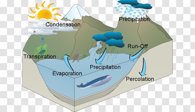 Water Resources Cycle - Percolation Transparent PNG