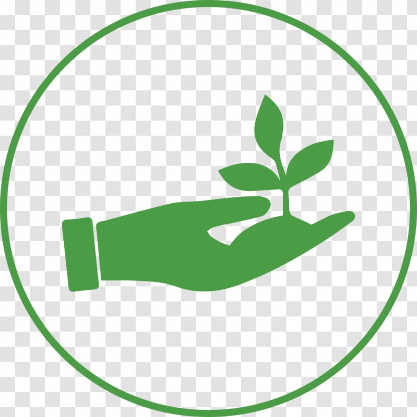 Leaf Clip Art The Tennery Organization Plant Stem - Reach Out Make Disciples Transparent PNG