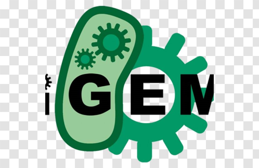 International Genetically Engineered Machine Synthetic Biology Genetic Engineering Registry Of Standard Biological Parts - Science - Cancer Cell Globular Pathogen Transparent PNG